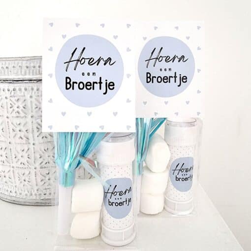 Feestzakje | hoera een broertje | 10 stuks