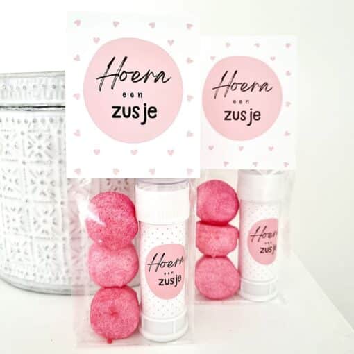 Feestzakje | Hoera een zusje | 10 stuks