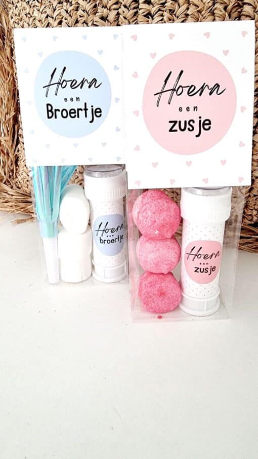 Feestzakje | Hoera een zusje | 10 stuks - Image 2