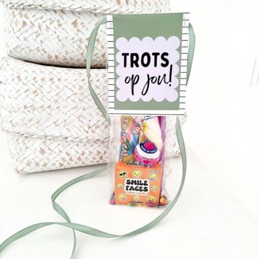 Avond4daagse feestzakje | kant en klaar - Image 2