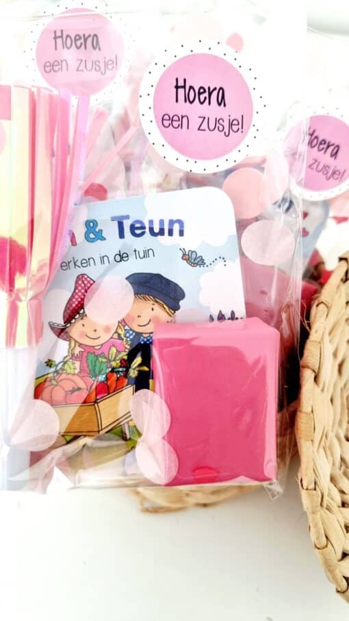 Fien en Teun uitdeelboekje | kant en klare geboorte traktaties - Image 2