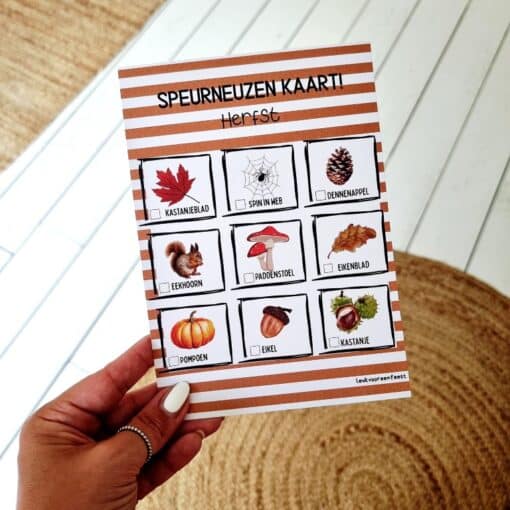 Feestkaart | Seizoen - Herfst | 6 stuks