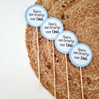 Traktatieprikker met naam | geboorte - raster