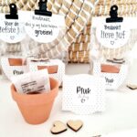 Vergeet mij niet | pluk de dag