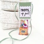 Avond4daagse feestzakje | kant en klaar - Afbeelding 2