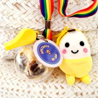 Avondvierdaagse kant en klaar | Apetrots