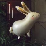 Folieballon | Haas