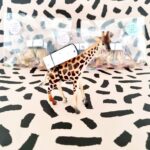 Jungle dieren | Kant en klare verjaardag traktaties