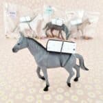 Dieren | Paarden | 5 stuks - Afbeelding 2